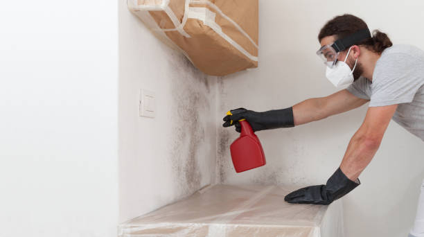 Professional Mold Remediation technician working in Haworth, NJ