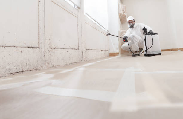 24/7 Emergency Mold Remediation experts in Haworth, NJ