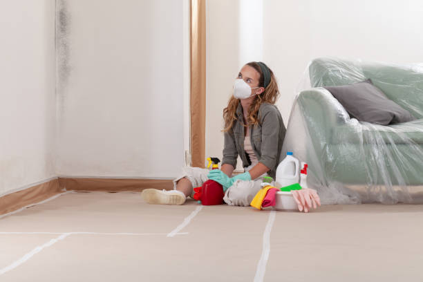 Reliable Mold Remediation contractor in Haworth, NJ by 24 Hour Mold Removal